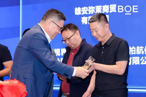 超高清数字产业峰会论坛：超清视界 焕新未来麻将胡了2试玩模拟器BOE IPC·2025(图13)
